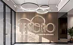 Commercial interior design for premium residential complex TESORO