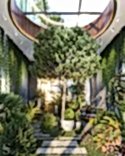 Bright winter garden on the first floor is located in a special glassed cube