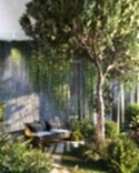 Bright winter garden on the first floor is located in a special glassed cube