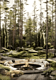 Well-maintained adjacent territory disposes to long walks and family picnics