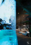 Premium luxury interior in Texas, USA by Studia 54