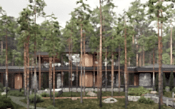 Architectural project of a villa in a pine forest