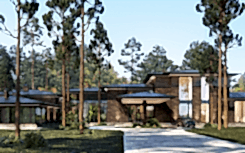 Project of ecological house in a pine forest